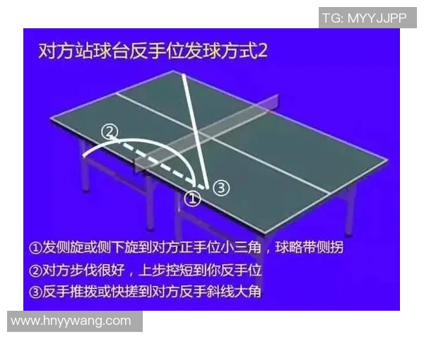 乒乓球新手必看：从基础意识到实战技巧的全面入门指南